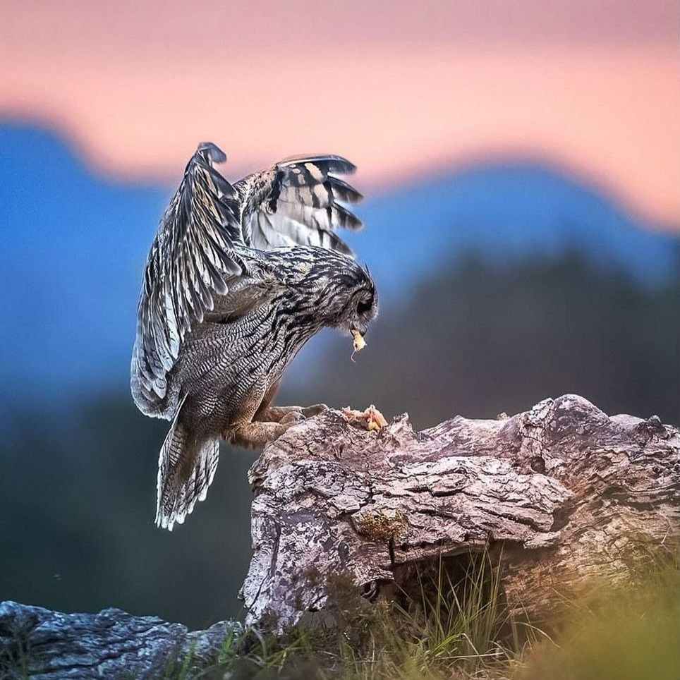 آهنگ جدید  غم رفت تو سرت شونم برات